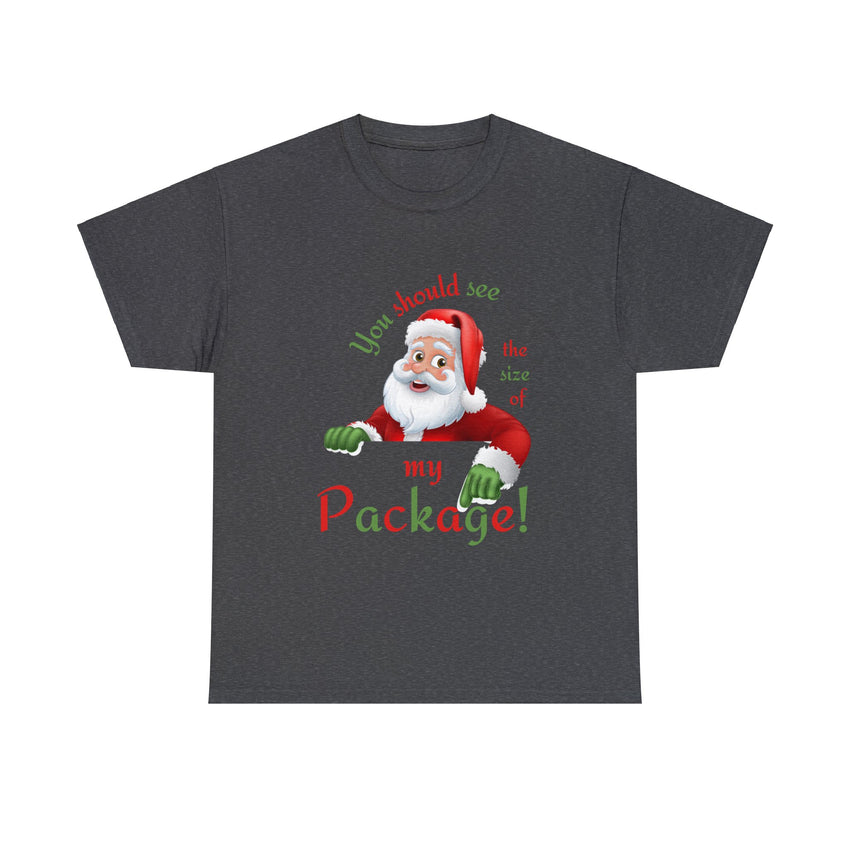 Santa Kinky Christmas T-shirt Sexy Cotton Tee