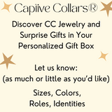4 Pieces Personalized Collar Surprise Box