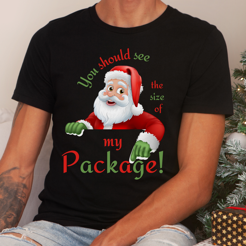 Santa Kinky Christmas T-shirt Sexy Cotton Tee