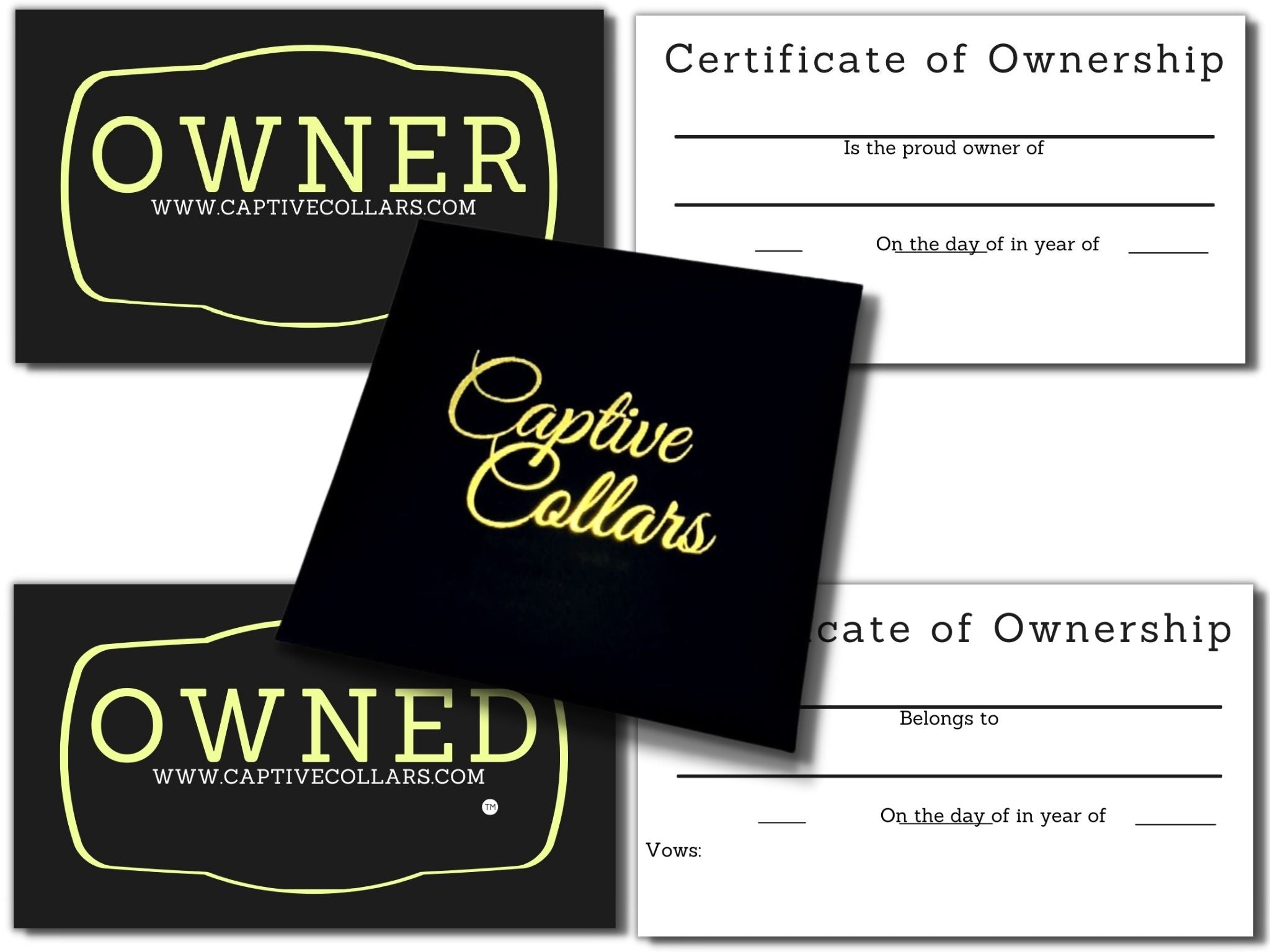 certificate of ownership template