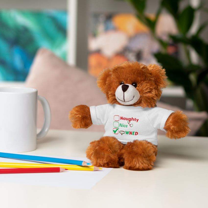 Owned Christmas Bear