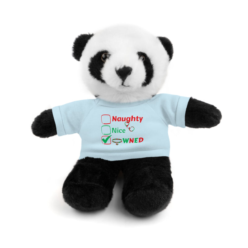 Owned Christmas Bear