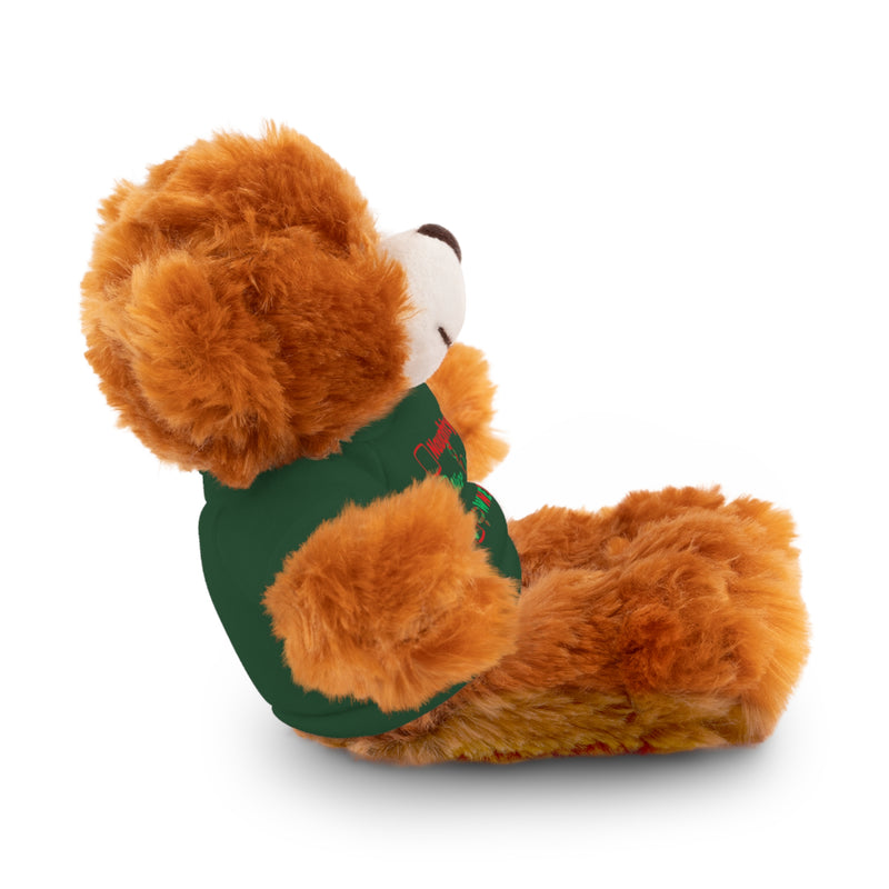 Owned Christmas Bear