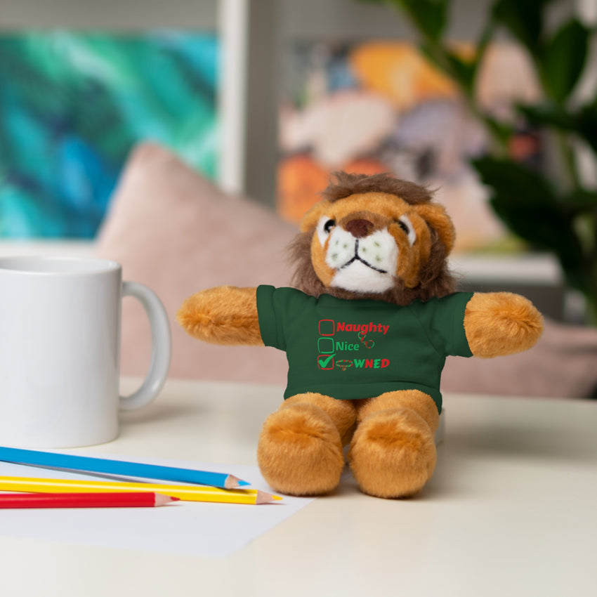 Owned Christmas Bear