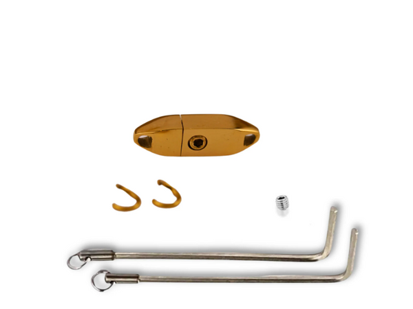 Engraved 'Bunny' Gold Colored Captive Lock™