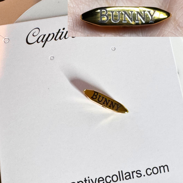 Engraved 'Bunny' Gold Colored Captive Lock™