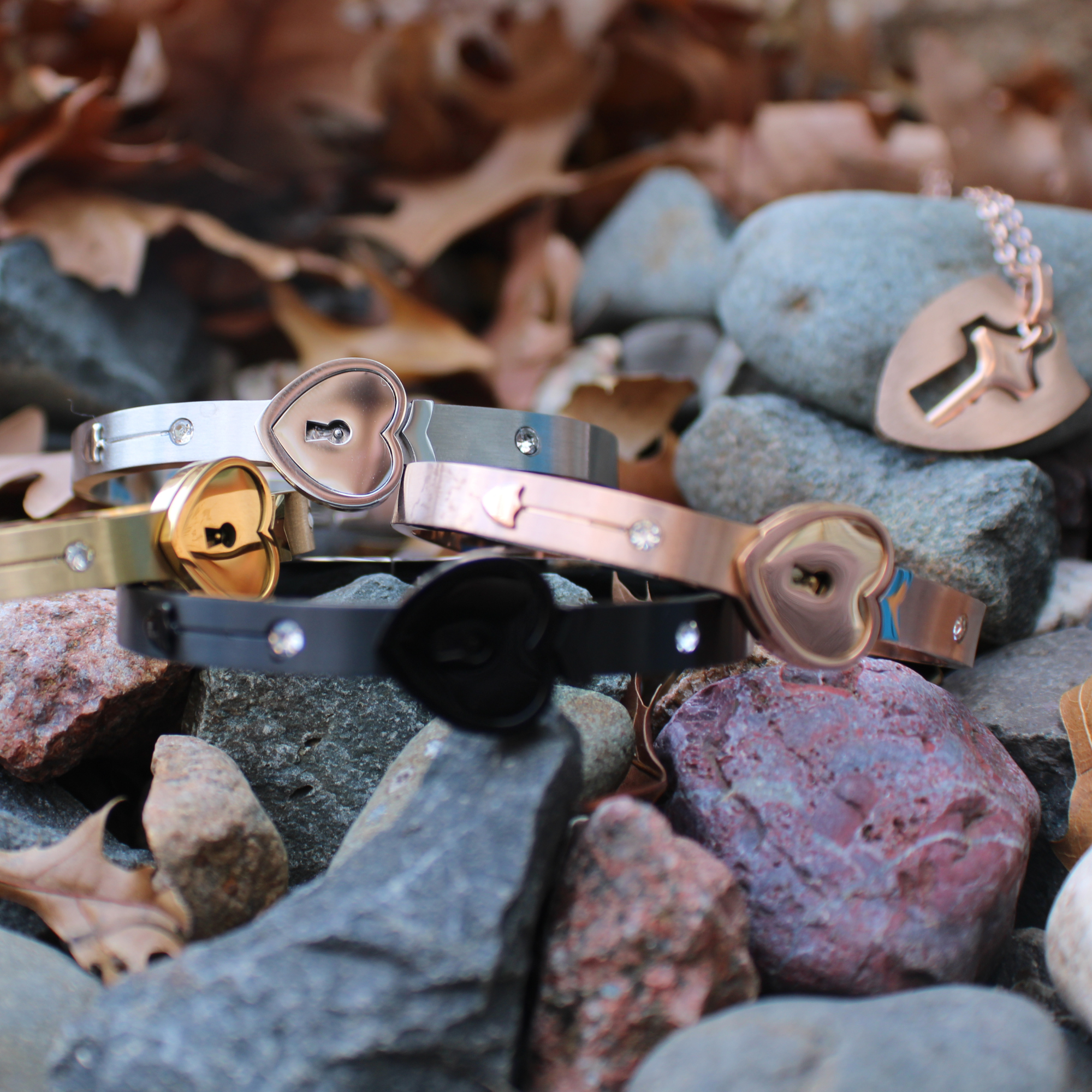 Locking Bracelet and Key Necklace – Captive Collars
